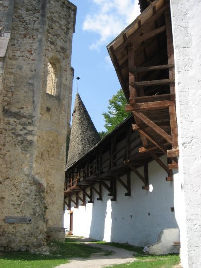 Picture 021